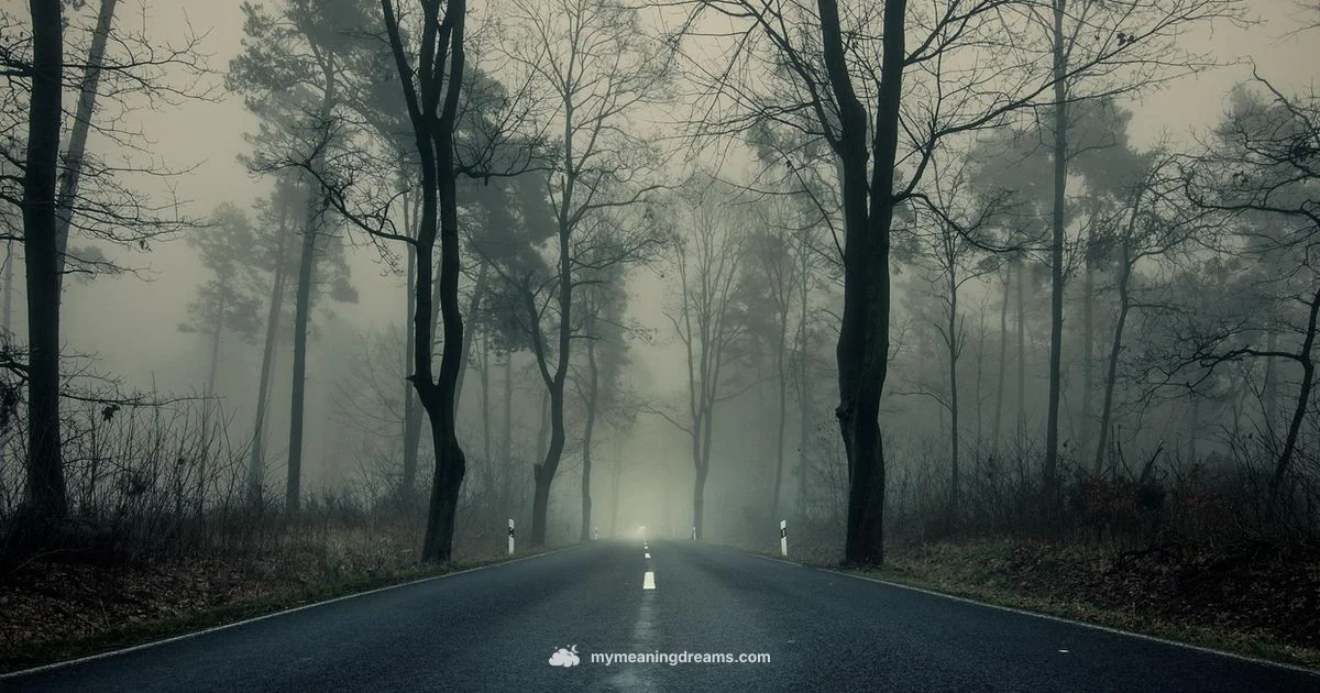 Bear Dream Symbolism - Meaning of My Dreams