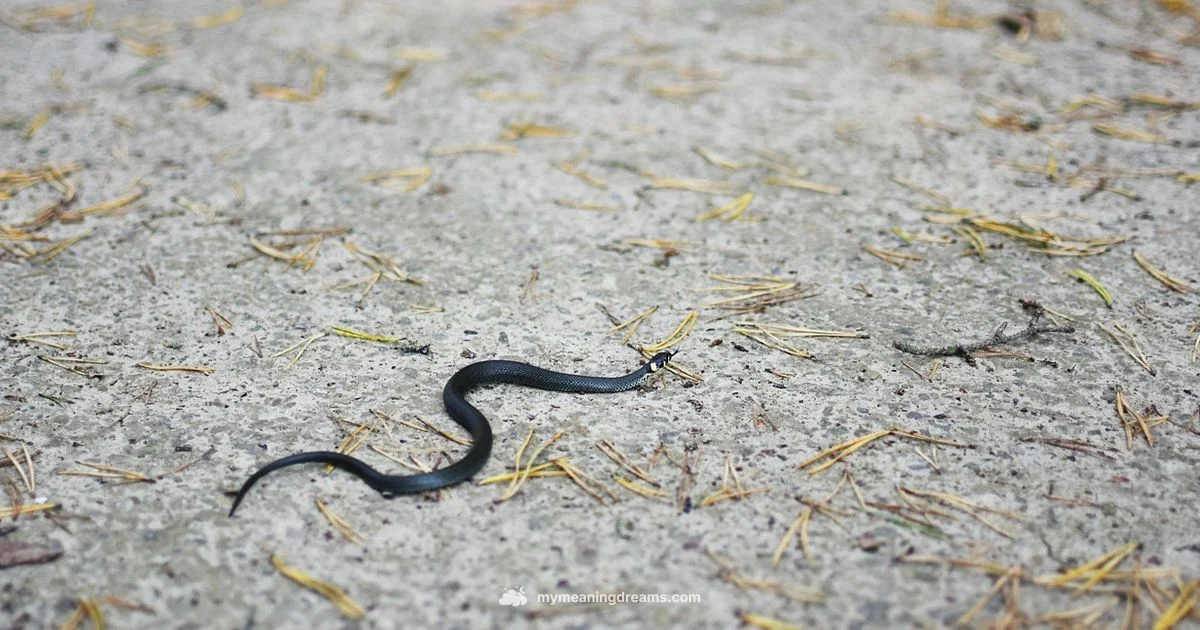 Snake Dream Meaning - Meaning of My Dreams