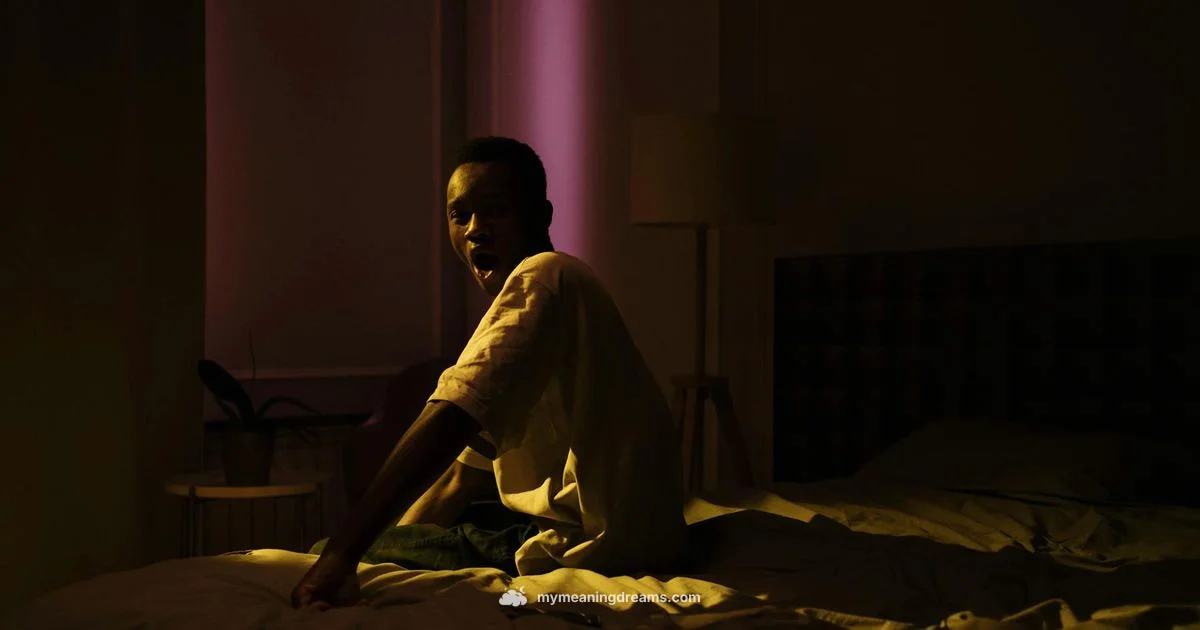 Shot Dream Meaning - Meaning of My Dreams