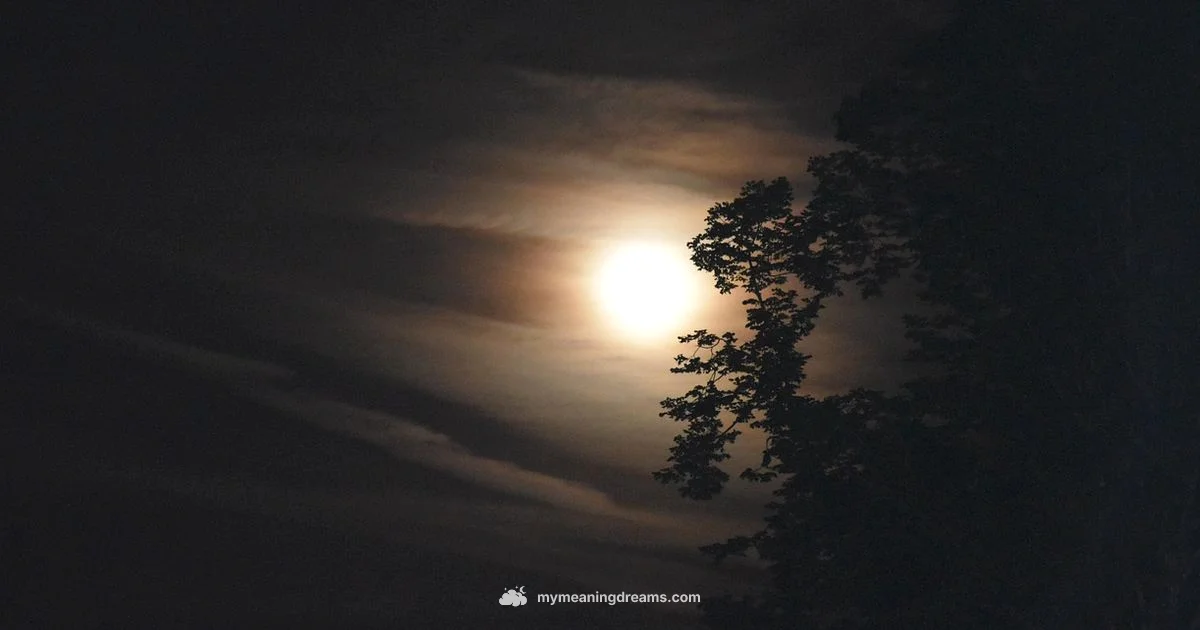 Hindi Dream Meaning - Meaning of My Dreams