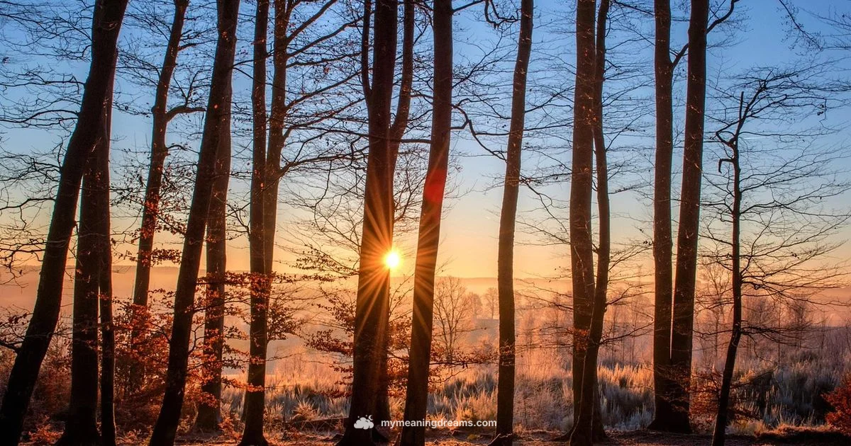 Tree Dream Meaning - Meaning of My Dreams