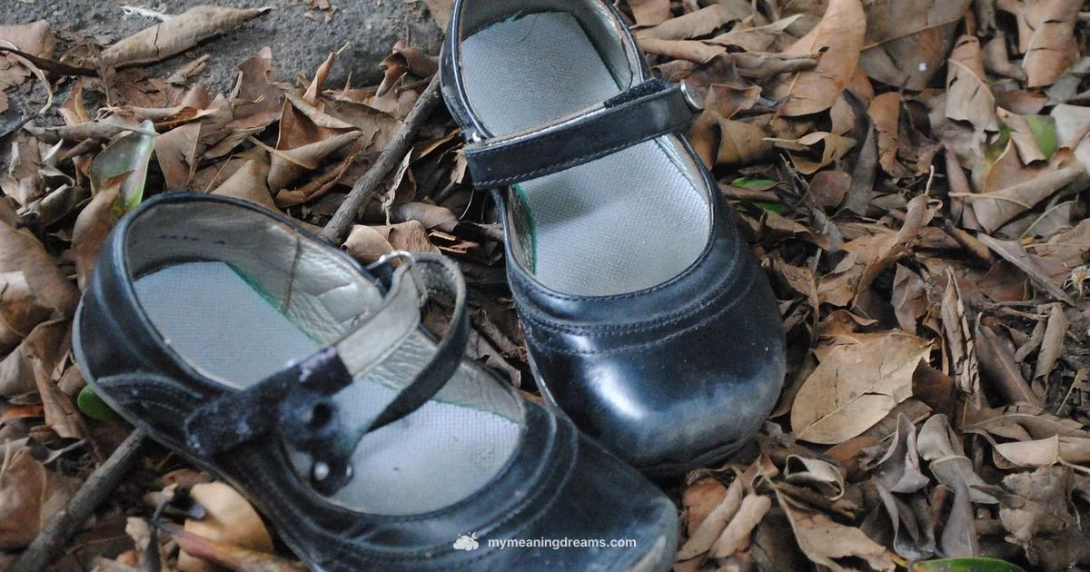 Lost Shoes Dream - Meaning of My Dreams