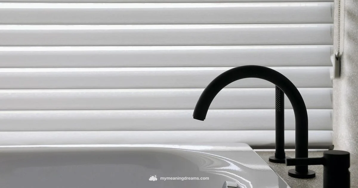 Overflow Dream Toilet - Meaning of My Dreams