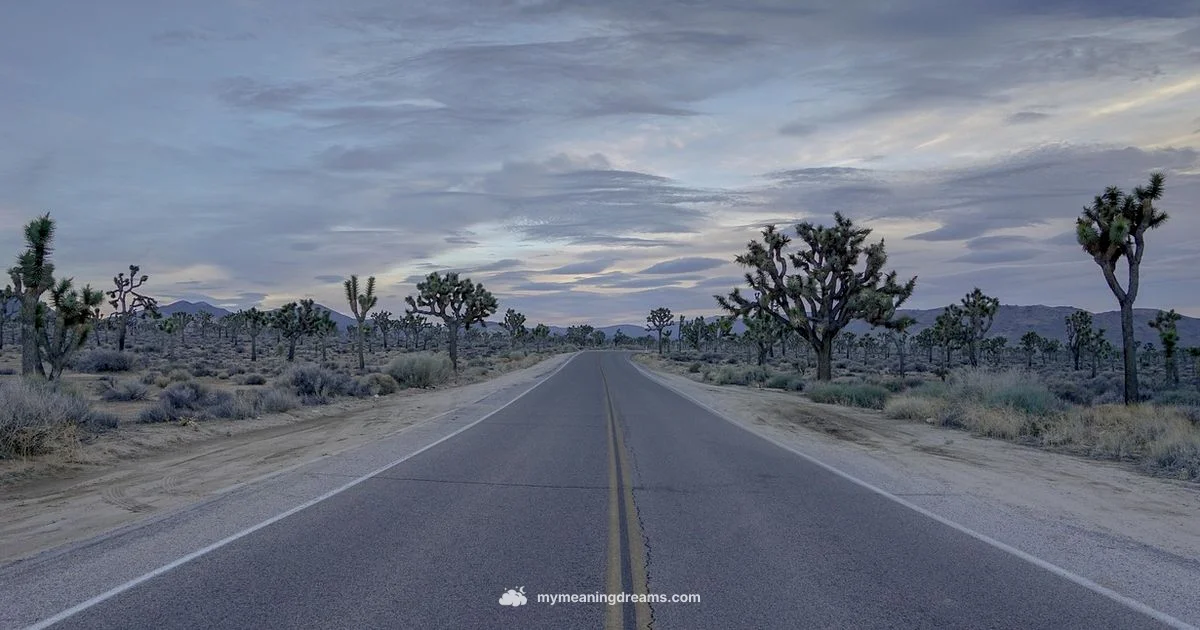 Bus Dream Meaning - Meaning of My Dreams