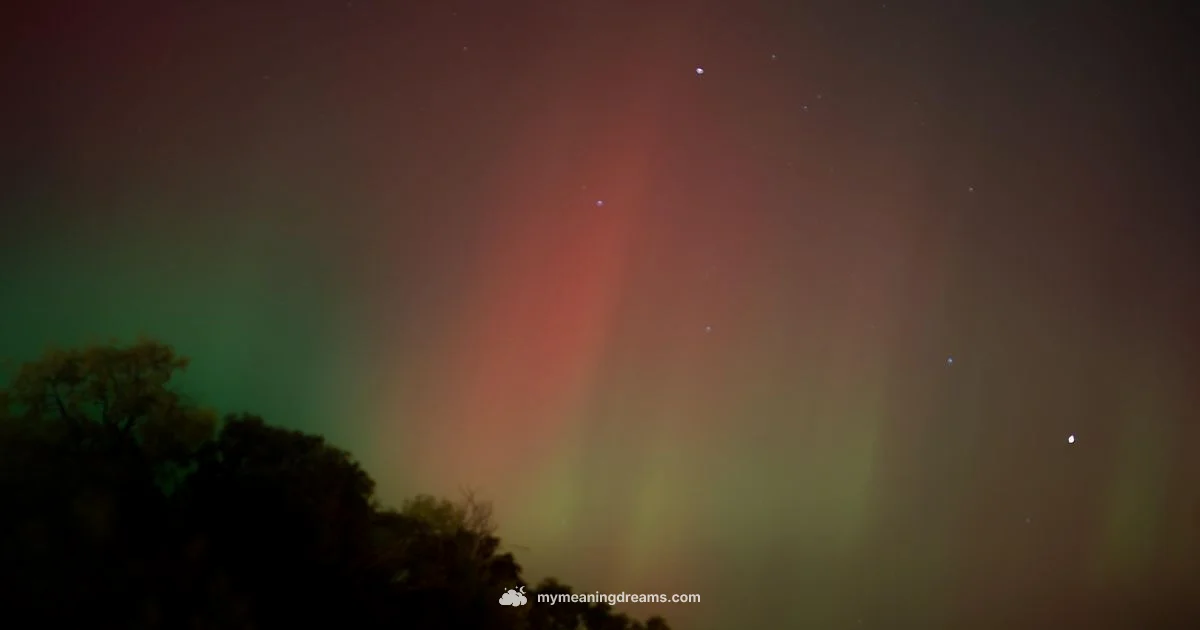 Dreaming the Future - Meaning of My Dreams