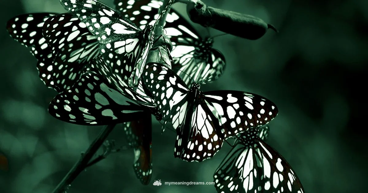 Insect Dream Insights - Meaning of My Dreams