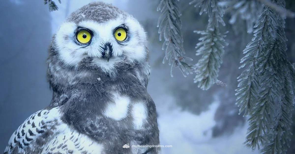 Owl Dream Meaning - Meaning of My Dreams