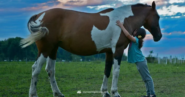 Dream Horse Meaning - Meaning of My Dreams