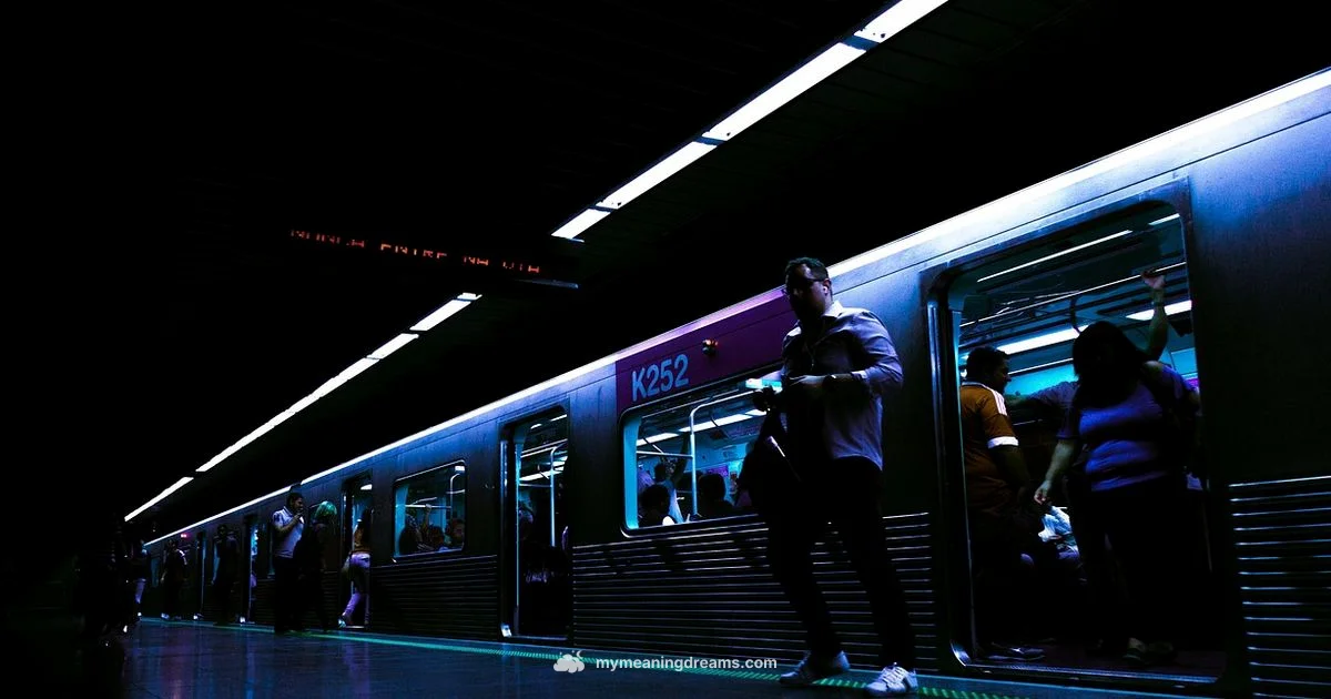 Fast Train Dream - Meaning of My Dreams