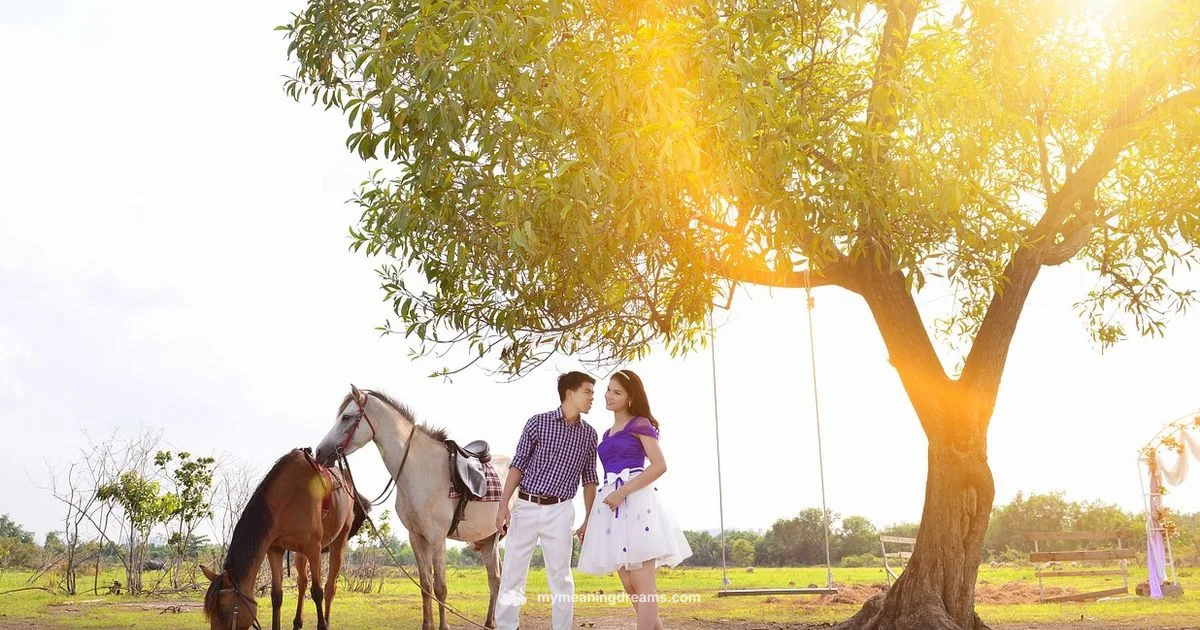 Dreams of Divorce - Meaning of My Dreams