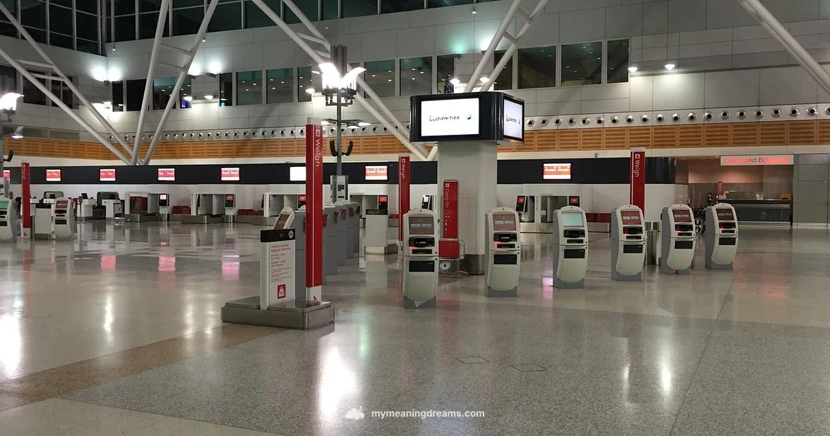 Missing Flight Dream - Meaning of My Dreams