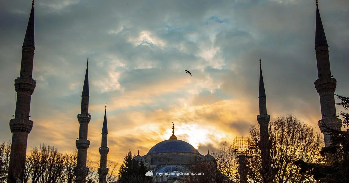 Divine Dream Insight - Meaning of My Dreams