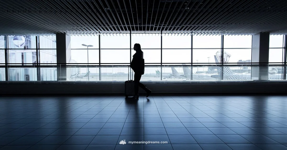 Late for Flight - Meaning of My Dreams