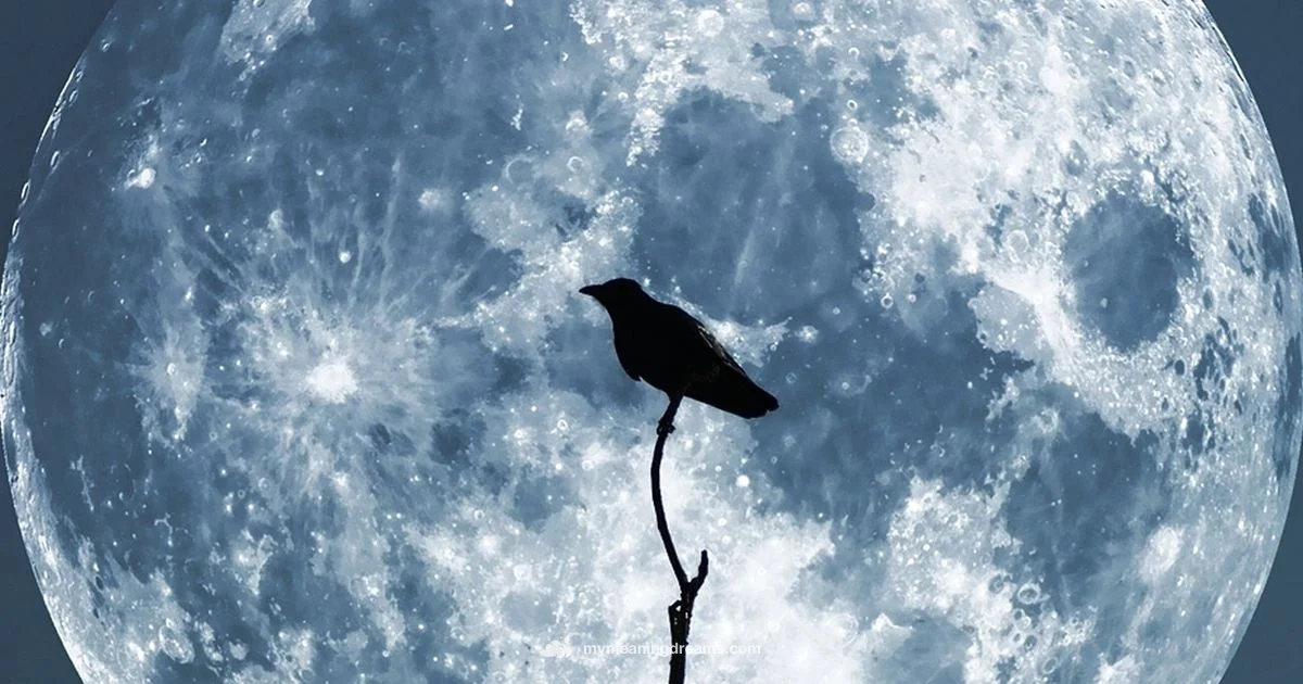 Lucid Dream Aids - Meaning of My Dreams