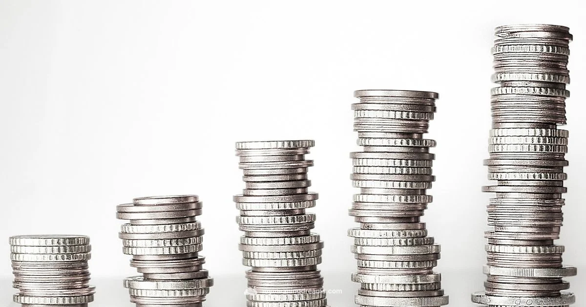 Counting Money Dreams - Meaning of My Dreams