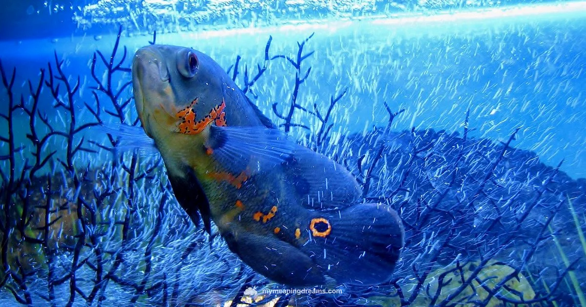 Blue Fish Dream - Meaning of My Dreams