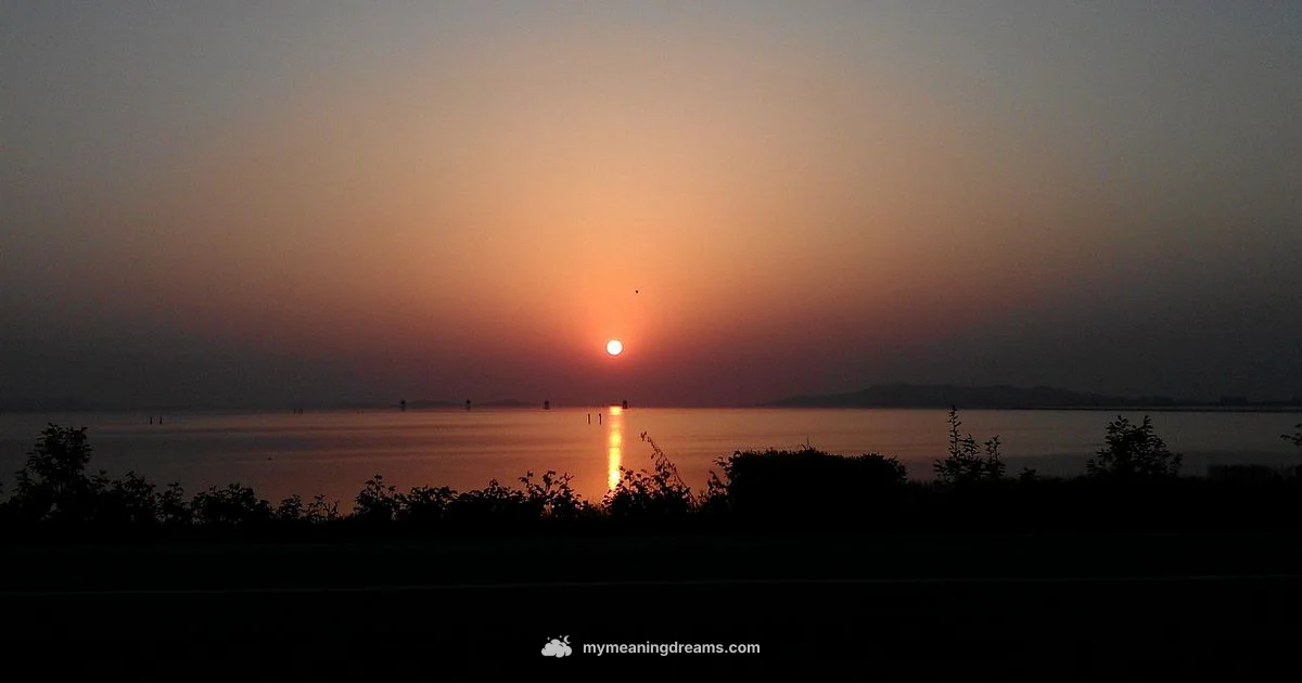 Decode Dream Meanings - Meaning of My Dreams