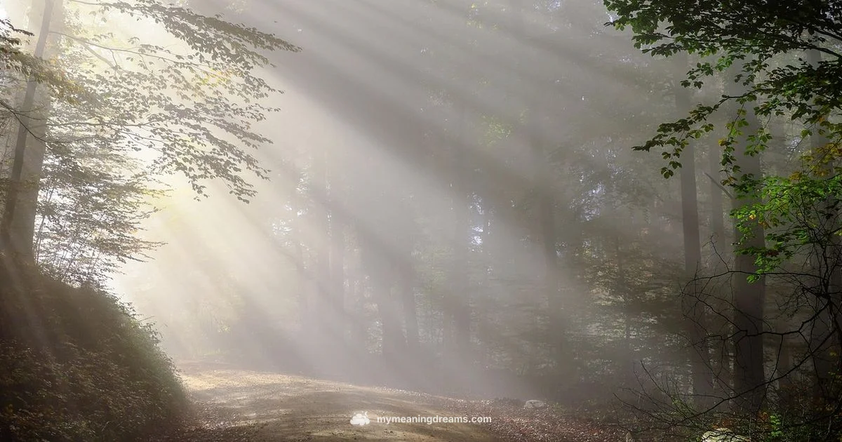 Running Dream Meaning - Meaning of My Dreams