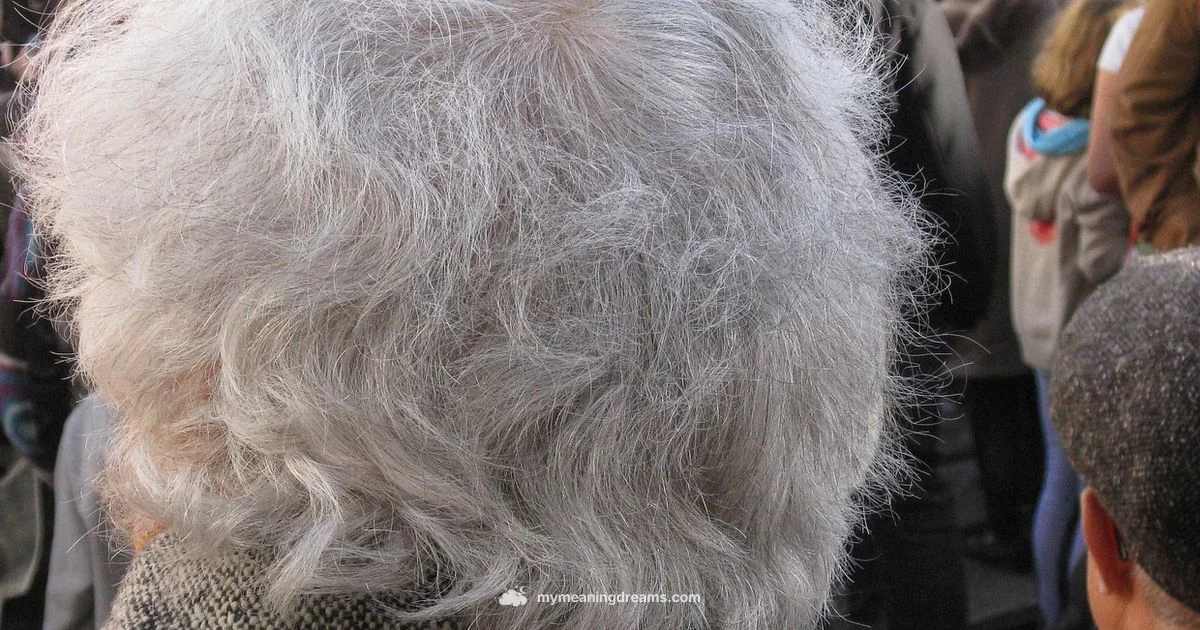 White Hair Dream - Meaning of My Dreams