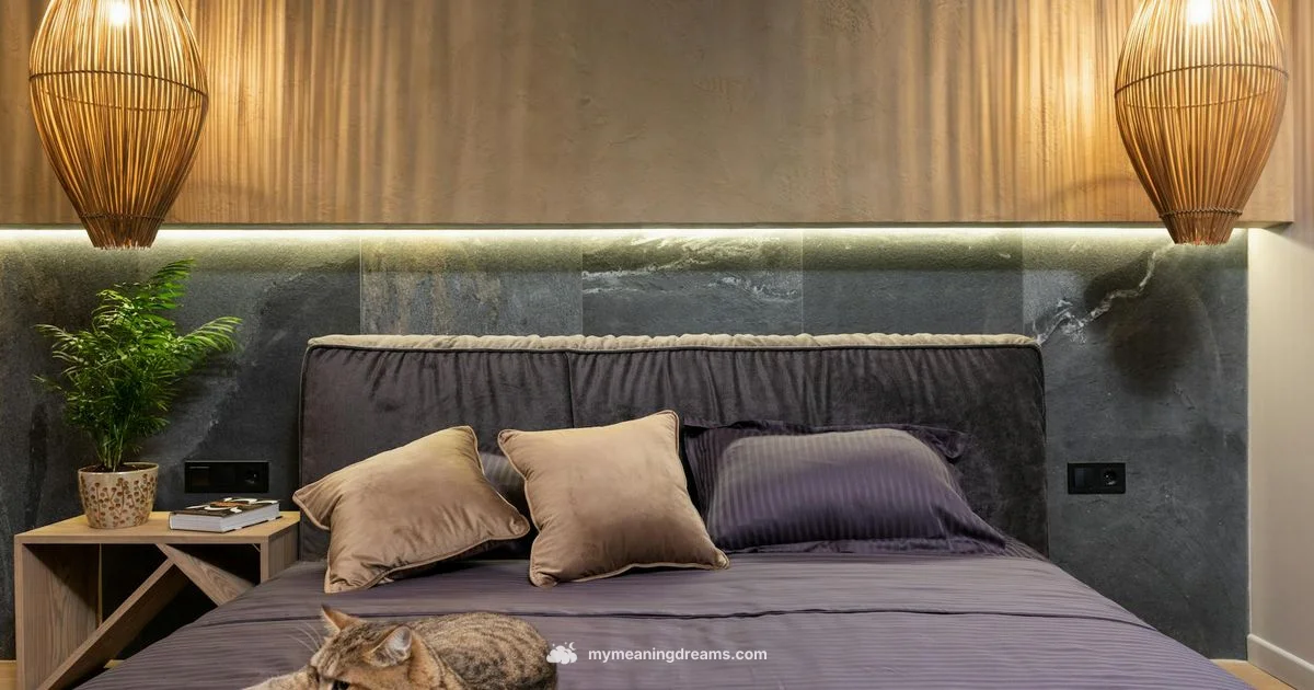 Cat Attack Dream - Meaning of My Dreams