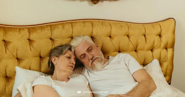 Dream Vomit Meaning - Meaning of My Dreams