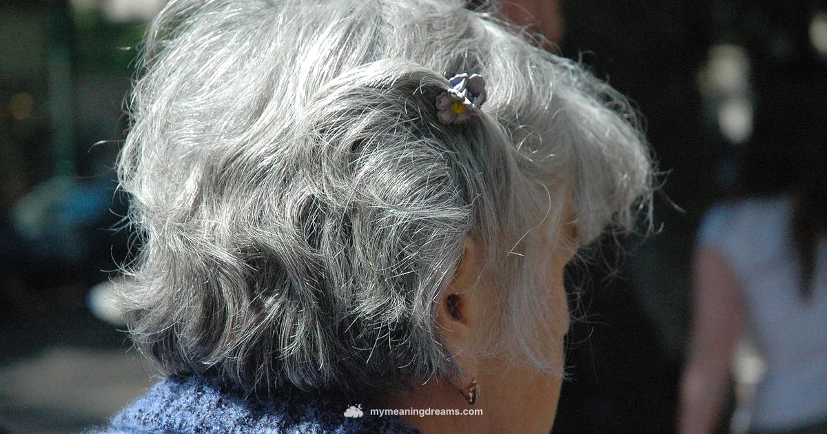 Grey Hair Dream - Meaning of My Dreams