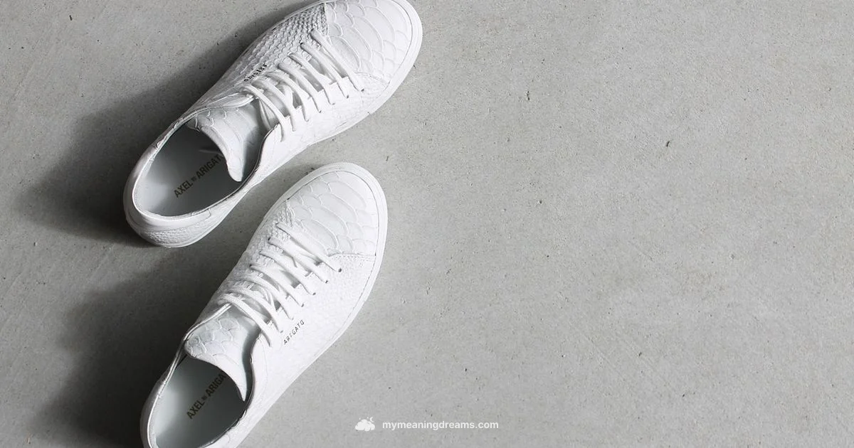 Dream Shoes Meaning - Meaning of My Dreams