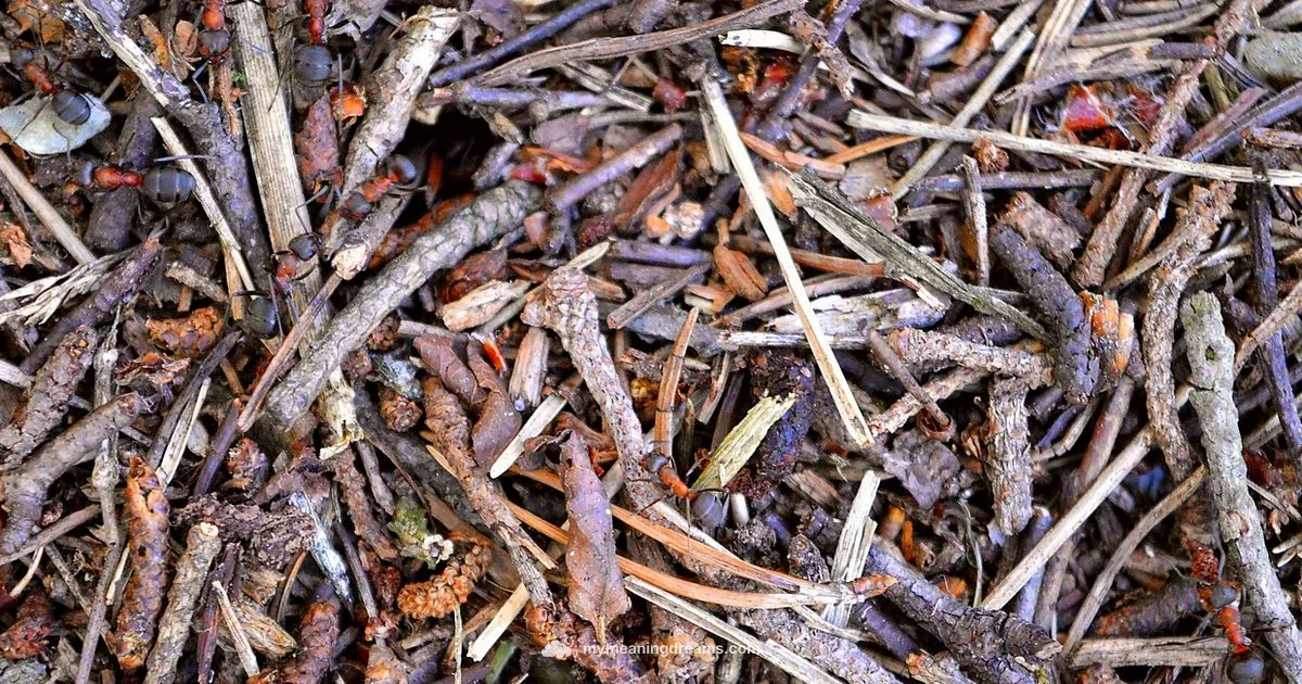Ant Dream Meaning - Meaning of My Dreams