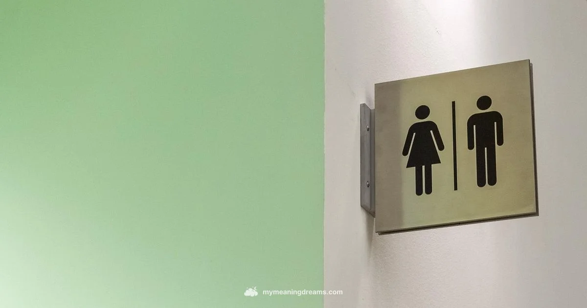 Toilet Dream Meaning Toilet Dream Meaning - Meaning of My Dreams