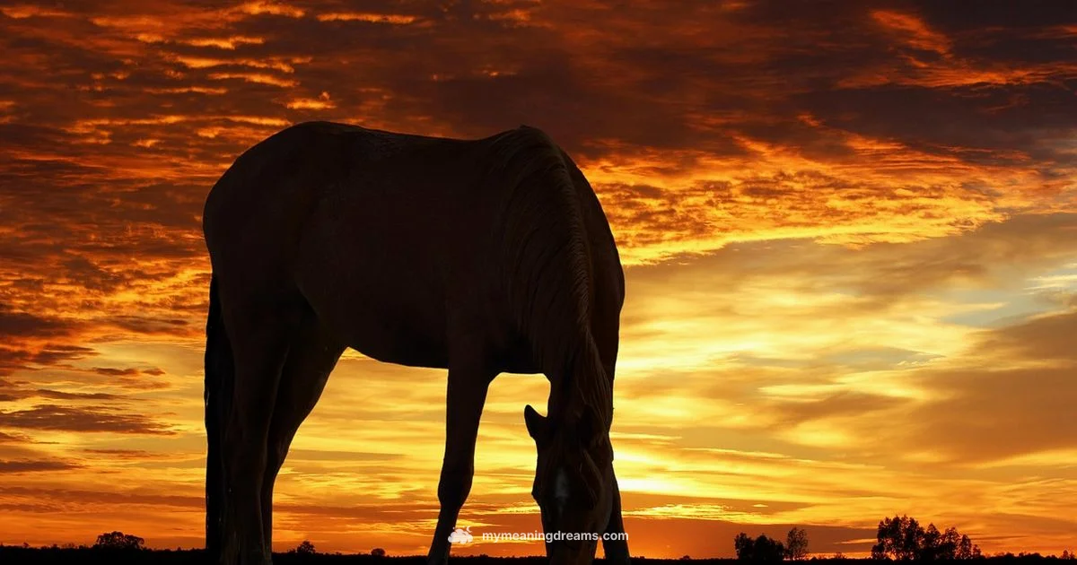 Dream Horse Meanings - Meaning of My Dreams