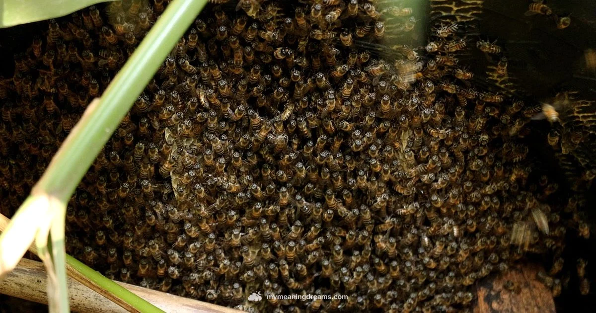 Bee Sting Dream - Meaning of My Dreams