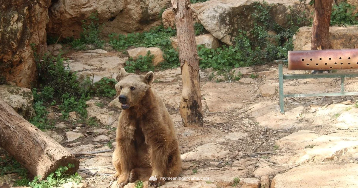 Animal Dream Signs - Meaning of My Dreams