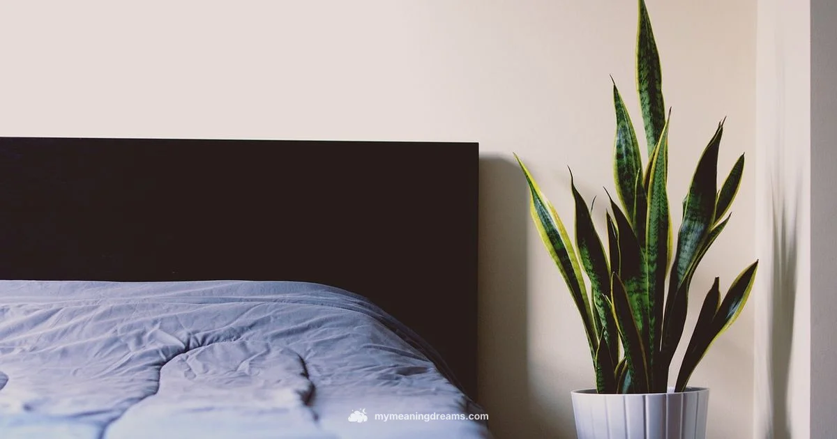 Sweet Dreams Guide - Meaning of My Dreams