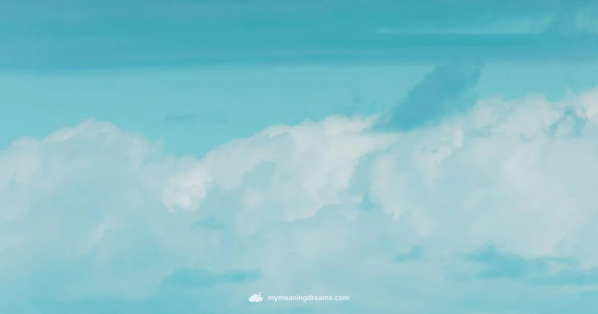 Vivid Night Dreams Vivid Night Dreams - Meaning of My Dreams