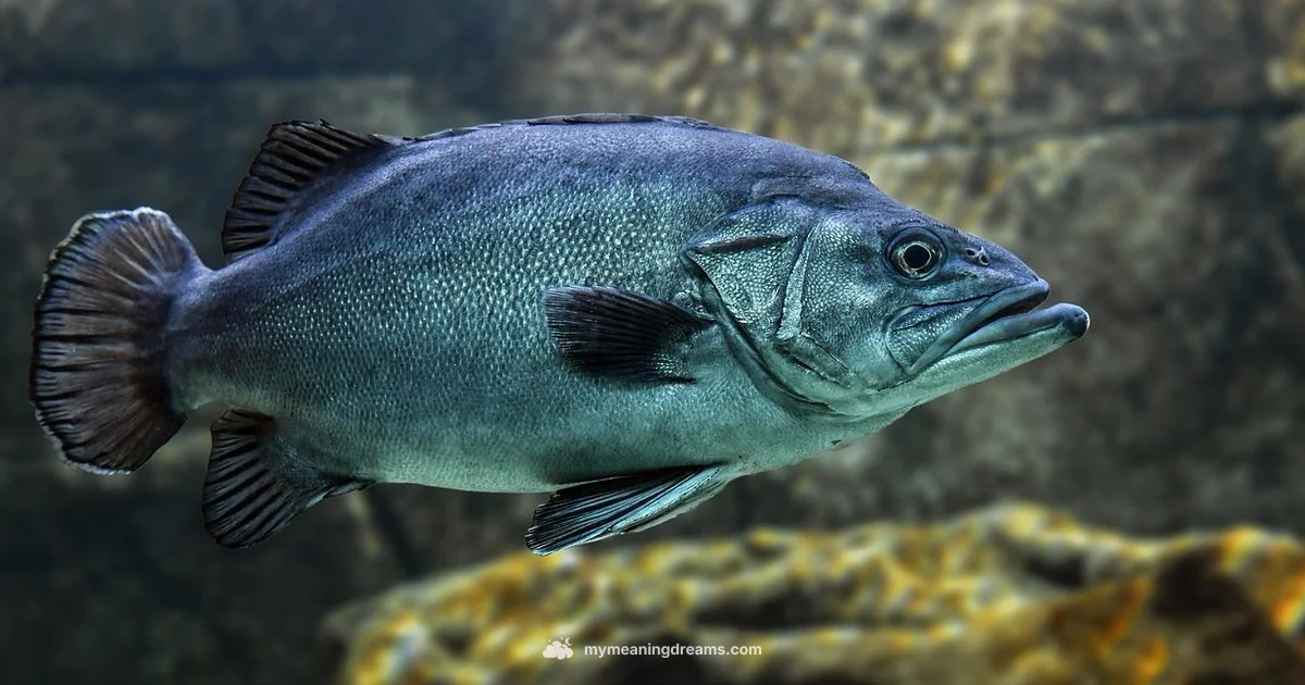 Fish Dream Meaning - Meaning of My Dreams