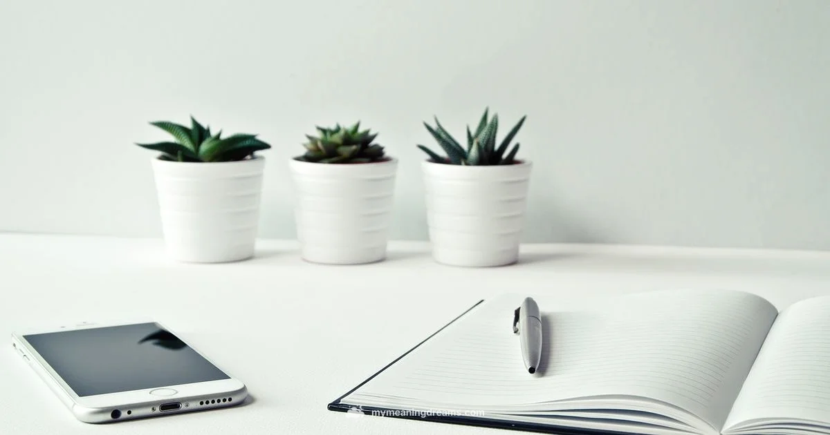 Dream Meaning Snapshot - Meaning of My Dreams