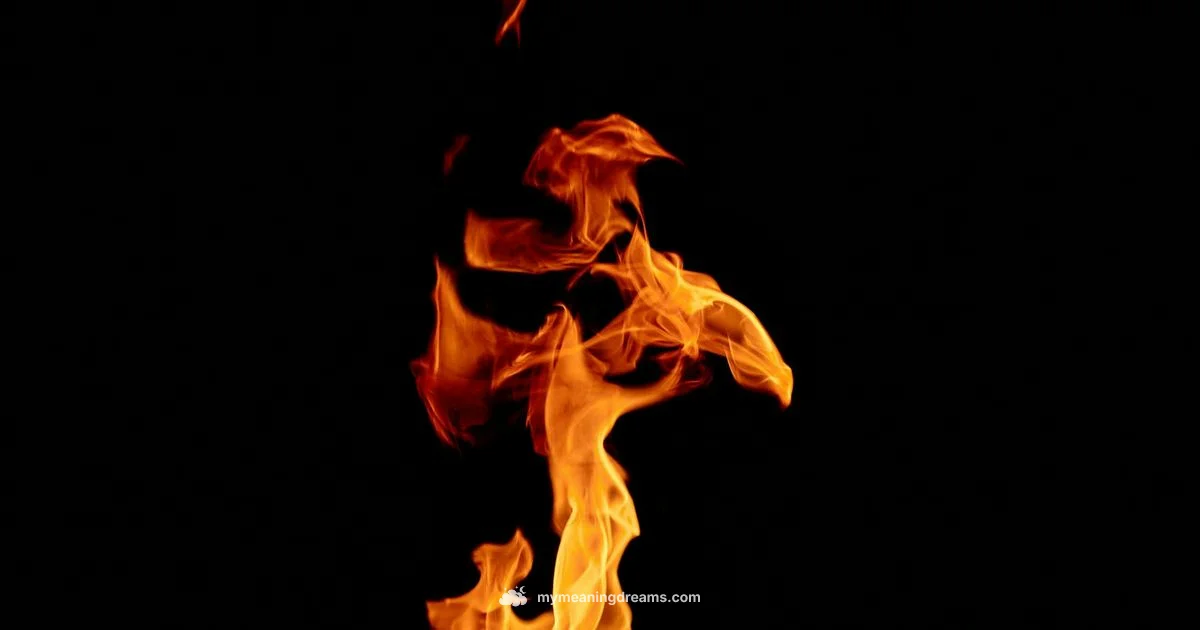 Vivid Dream Patterns Vivid Dream Patterns - Meaning of My Dreams