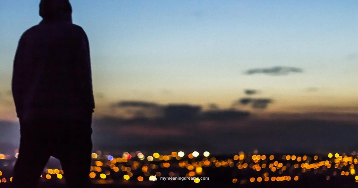 Halo Lucid Dream - Meaning of My Dreams