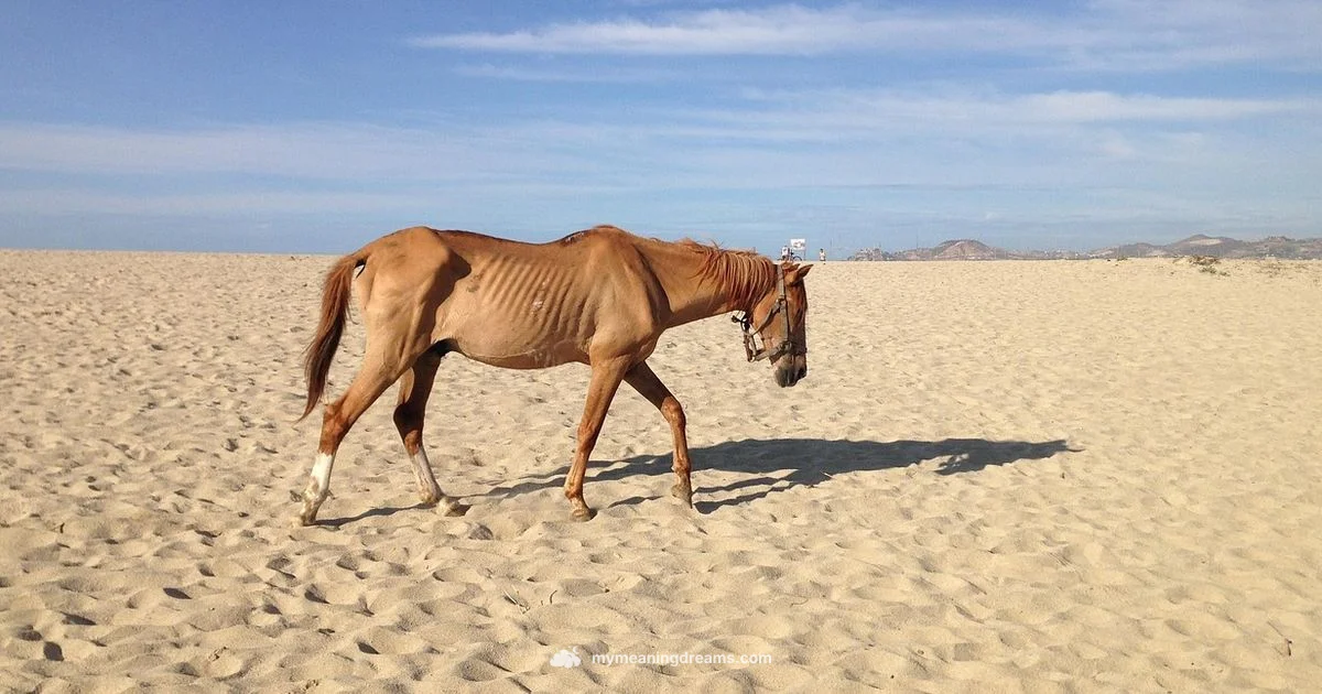 Horse Dream Meaning - Meaning of My Dreams