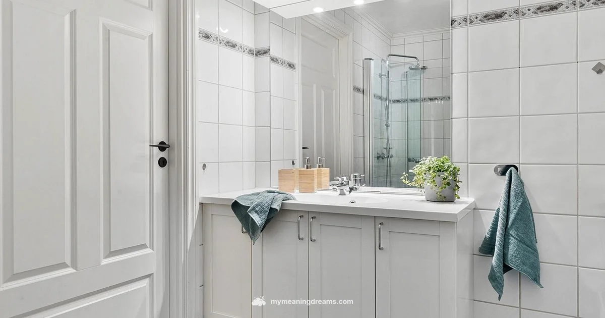 Dirty Bath Dream - Meaning of My Dreams