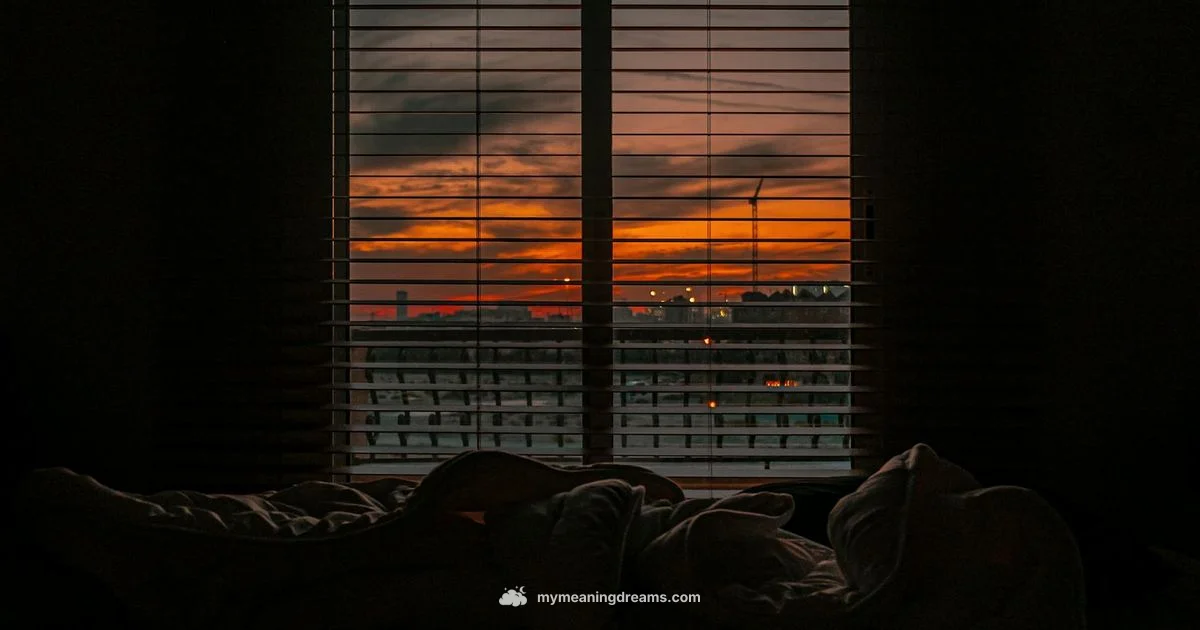 Red Dream Meaning - Meaning of My Dreams