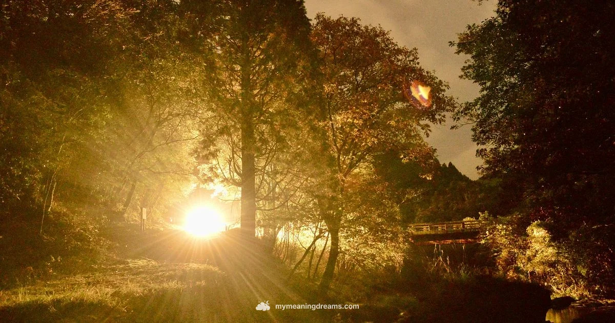 Lucid Dreaming Guide - Meaning of My Dreams