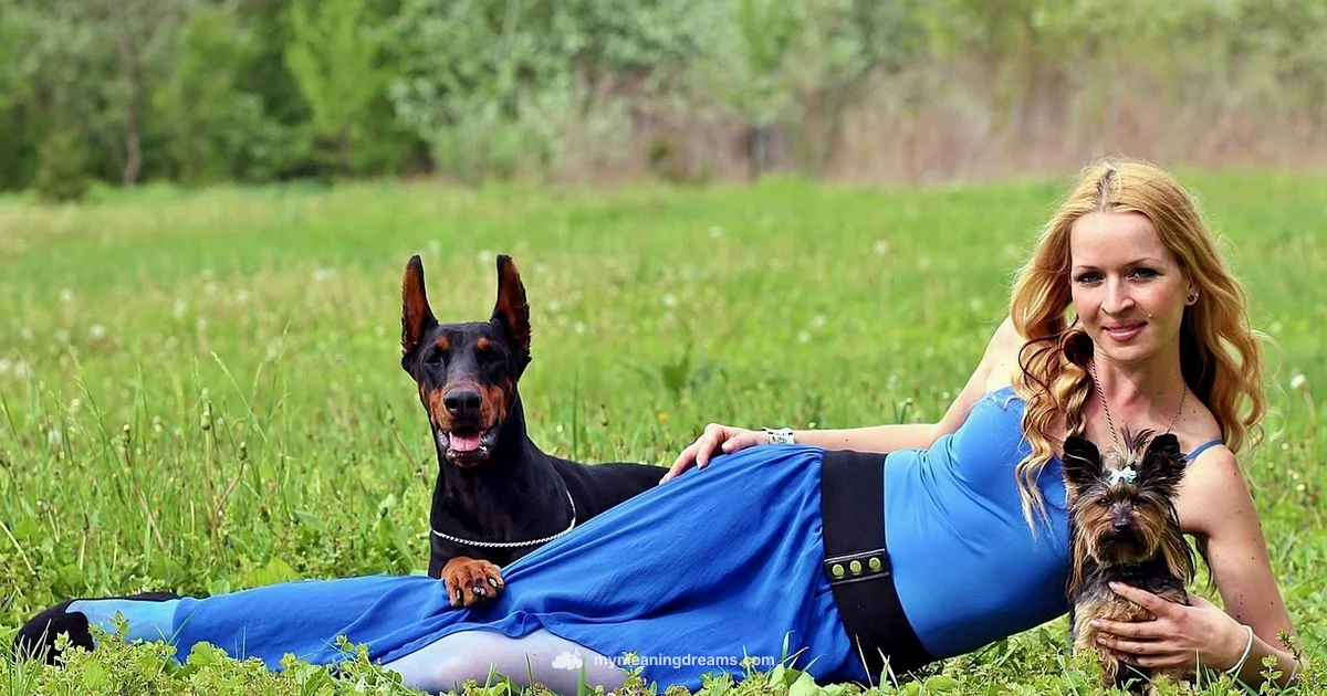 Dream Bite Scene - Meaning of My Dreams