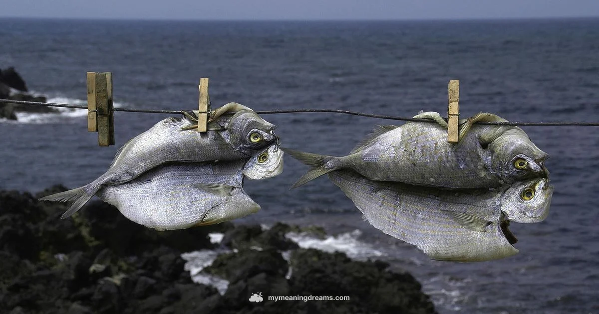 Sea Dream Meaning - Meaning of My Dreams