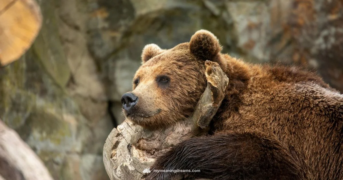 Bear Attack Dream - Meaning of My Dreams