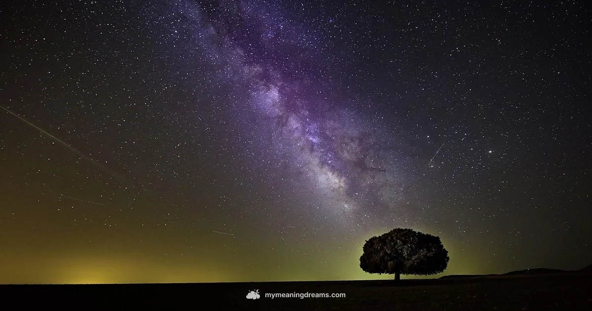 Dream Insights - Meaning of My Dreams