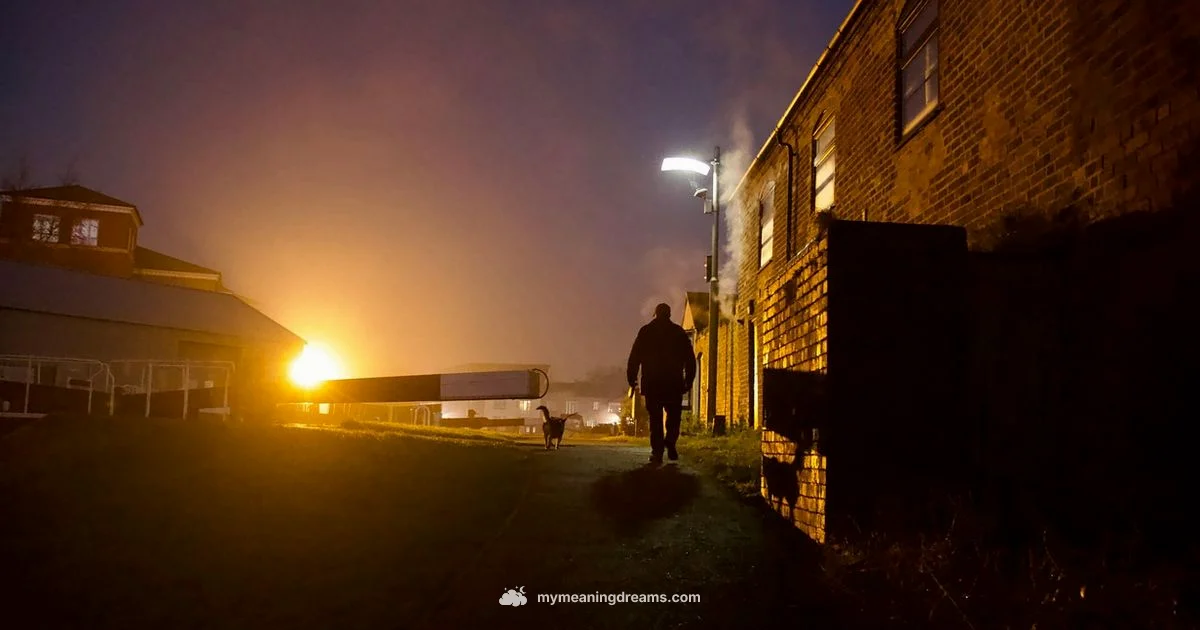 Dog Bite Dream Dog Bite Dream - Meaning of My Dreams