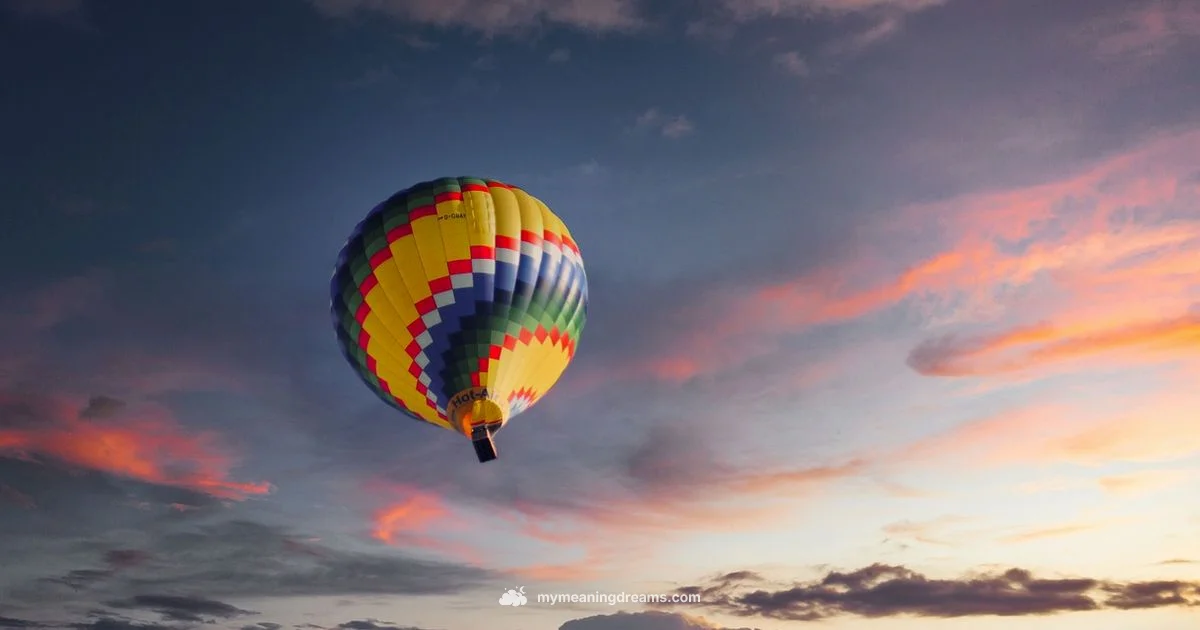 Dream Flying Dream Flying - Meaning of My Dreams