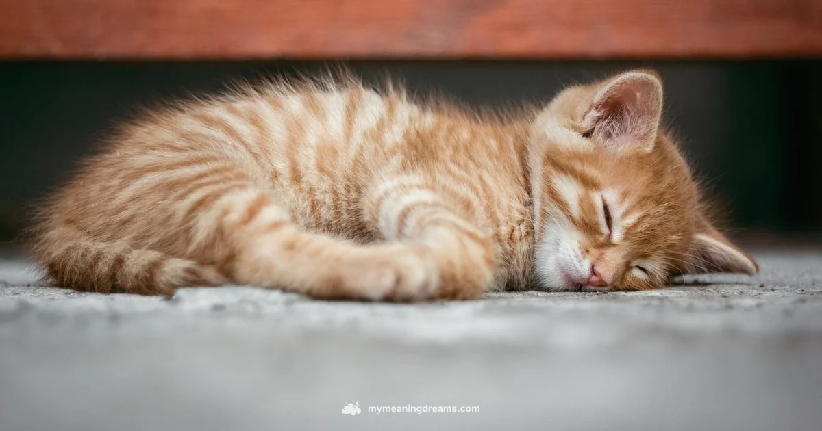 Dream Cat Meaning - Meaning of My Dreams