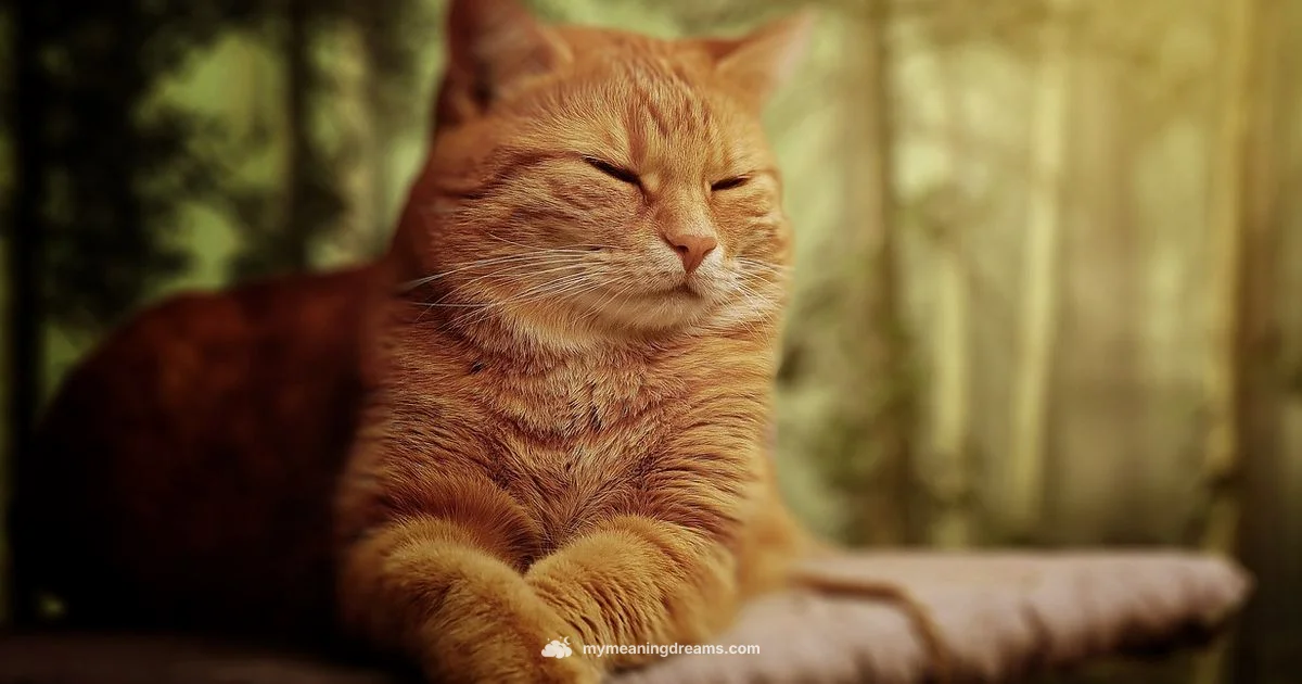 Dream Symbols - Meaning of My Dreams